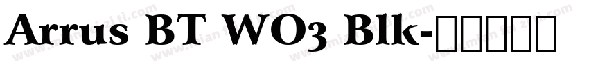Arrus BT WO3 Blk字体转换